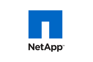 NetApp, one of Glyph's financial translation services clients