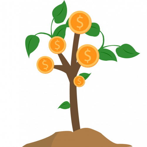 Money Tree